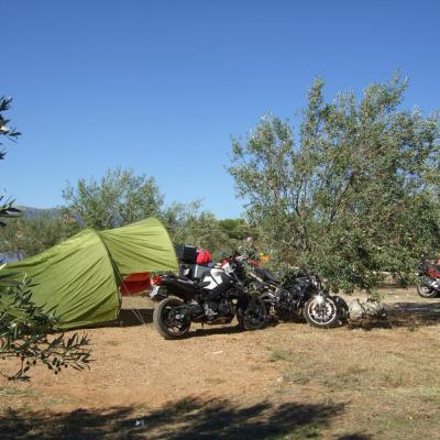 Camping sous les oliviers